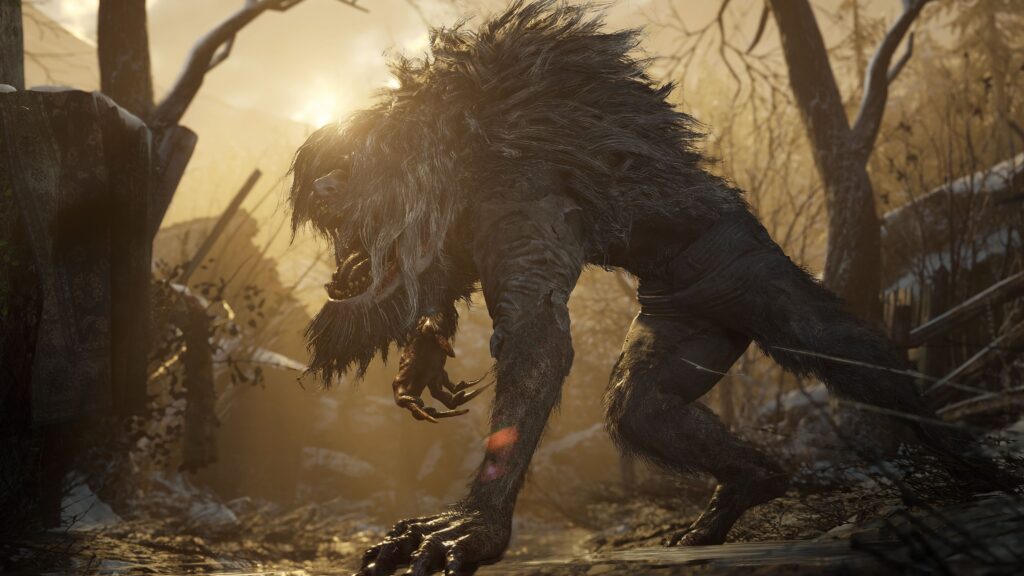 Cena do jogo Resident Evil: Village. Um monstro parecido com um lobisomem ruge em direção à esquerda, com o Sol ao fundo. O monstro está em quatro patas, com o braço direito levantado para cima, exibindo garras. A parte de cima, coberta por pelos espessos, deixa entrever uma bocarra enorme e um nariz esticado acima dela. Pedaços de pano ainda se atém aos braços e nos quadris. Atrás do monstro, vários troncos de árvores sem folhas e pedras cobertas de neve. 