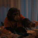 O Primata libera toda a maldade de George, o Furioso